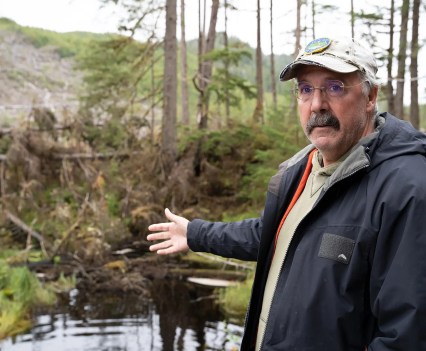 Mark Minnillo gestures toward trees felled by wind